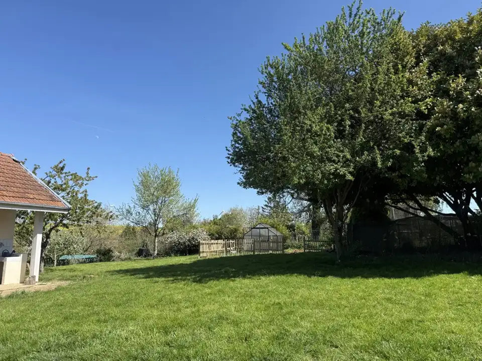 Grand jardin clos de la pension canine à Anoux