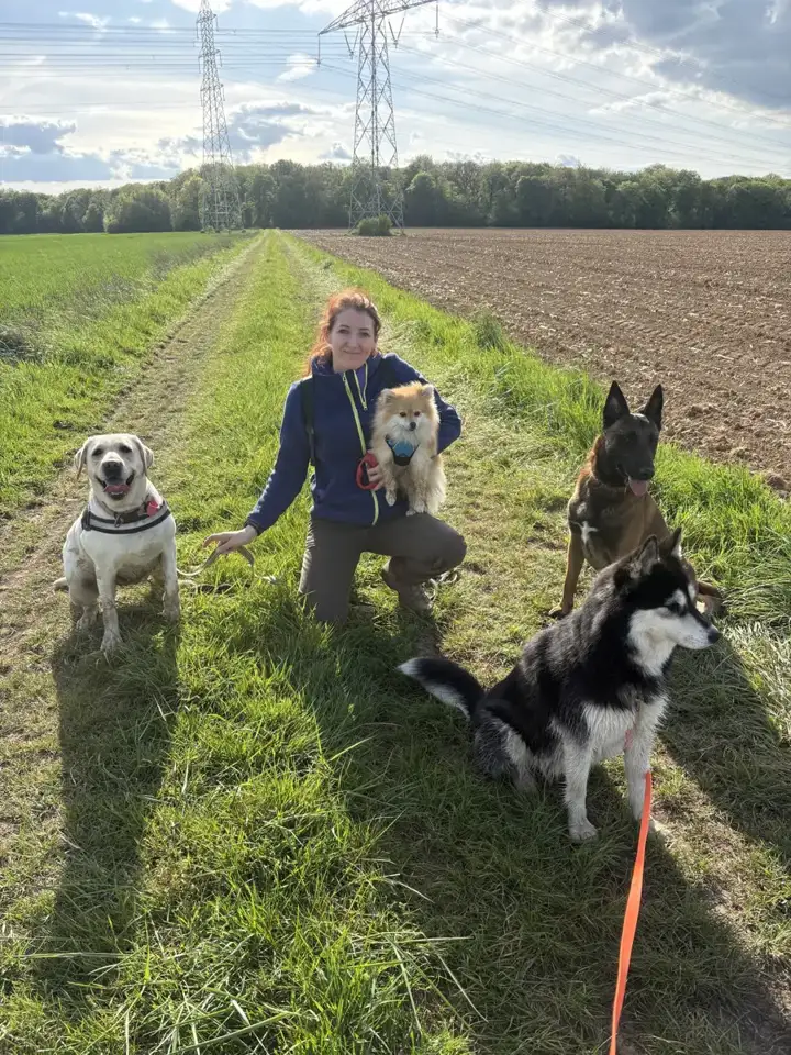 Lidwine, fondatrice de Pawtopia, en balade dans les champs avec quatre chiens